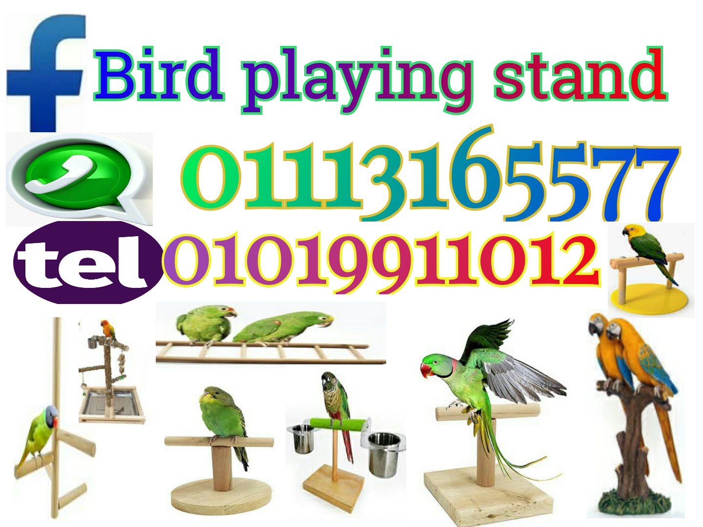 Parrot Stand tree wood استاند ببغاوات و طيور زينة petssso