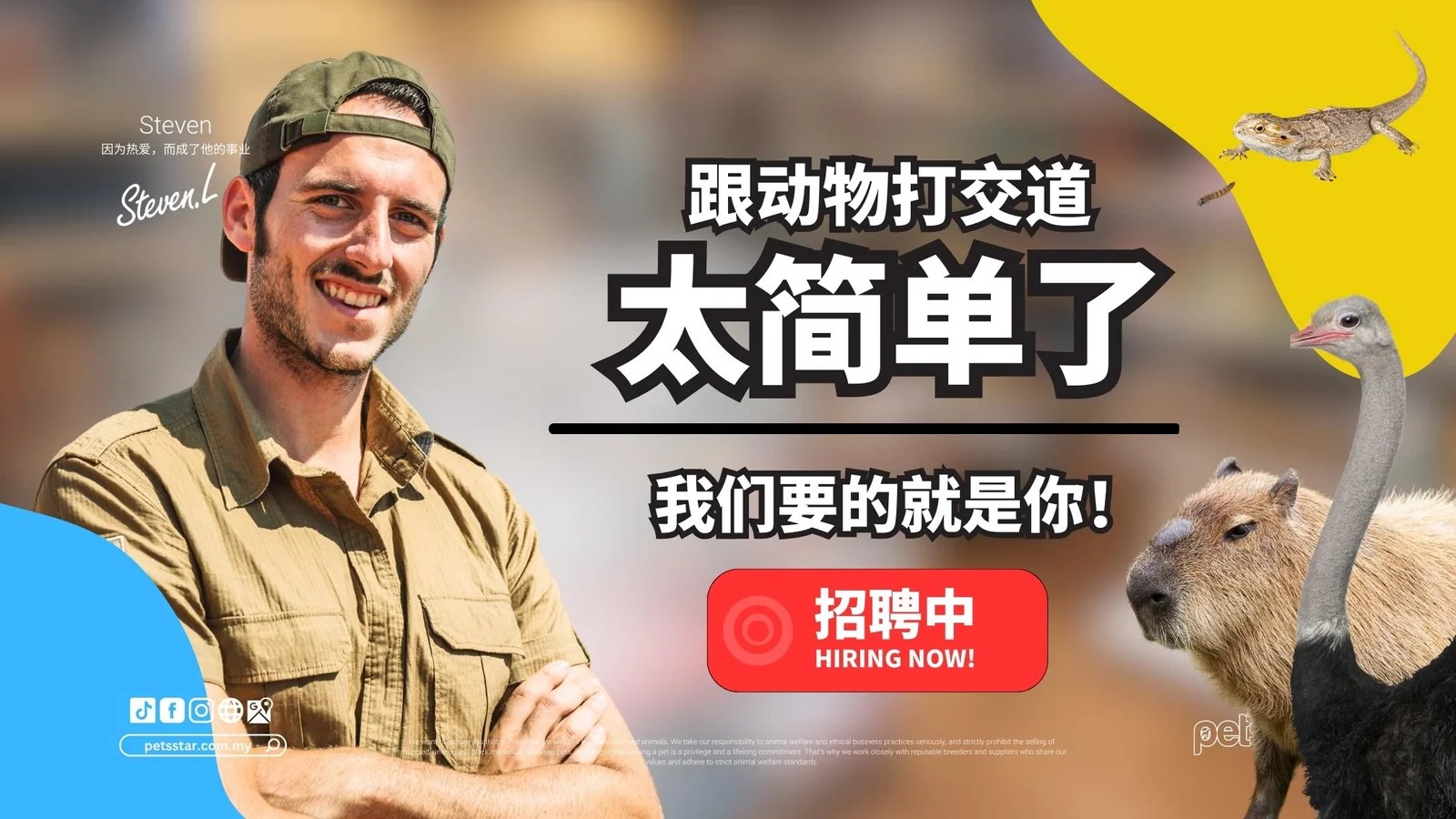 WE ARE HIRING NOW!!!我們正在招聘中!! Pets Star