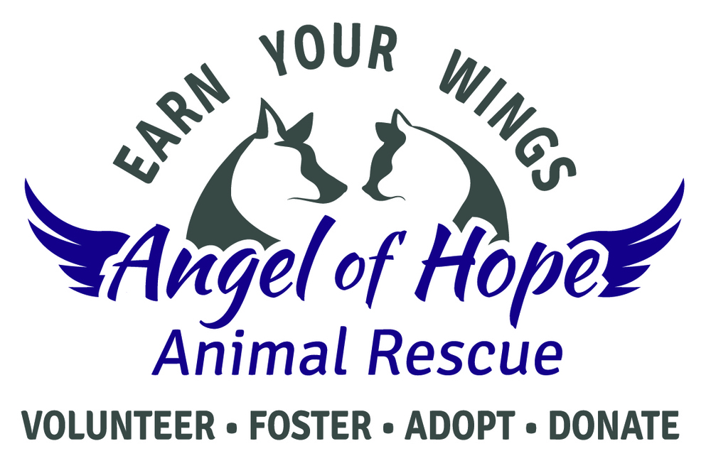 Petstablished Angel Of Hope Animal Rescue has pets for adopt.