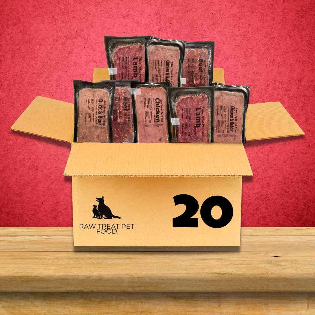 Raw Treat Pet Food Box 20 Pet Station Cardiff