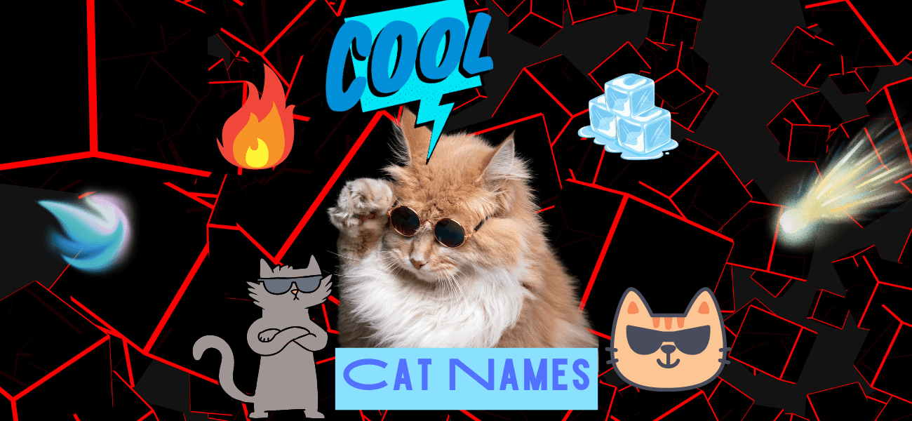Cat Names PetsTime