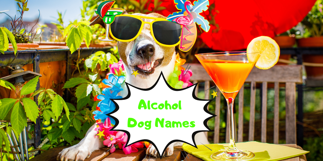 Alcohol Dog Names Fun Names for Dogs