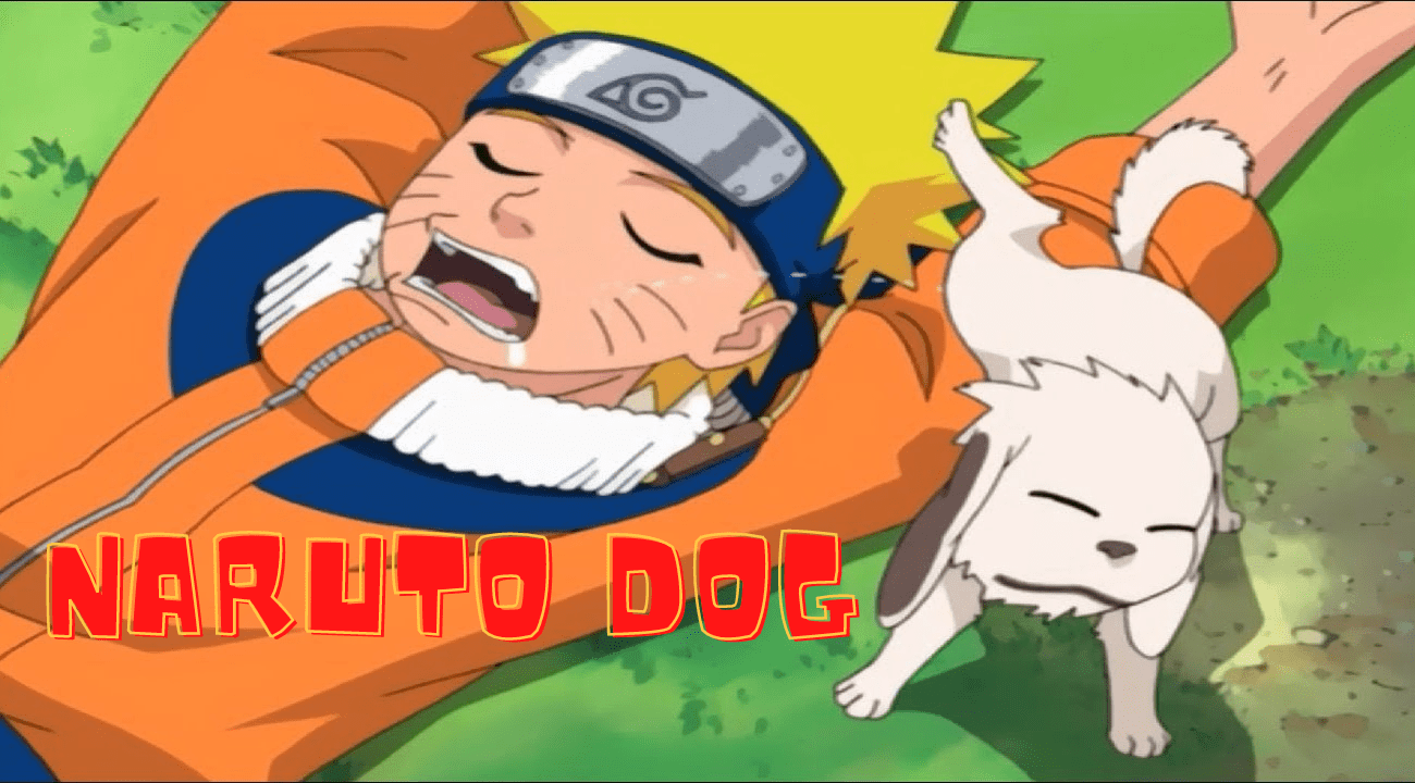 Naruto Dog Akamaru of the Inuzuka Clan and More