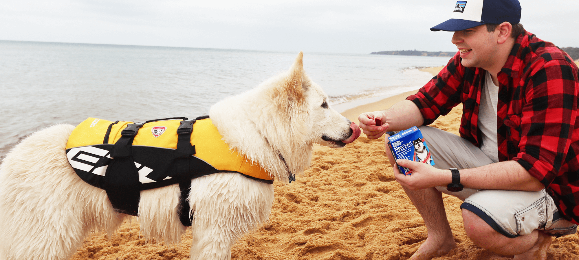 Petstock Plastic Dog Bed rens dog beds