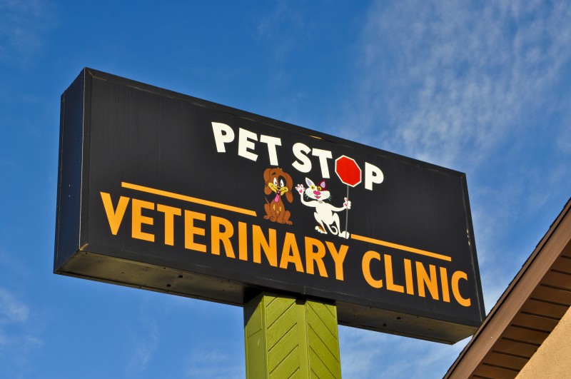 Photo Tour Pet Stop Veterinary Clinic Salt Lake City