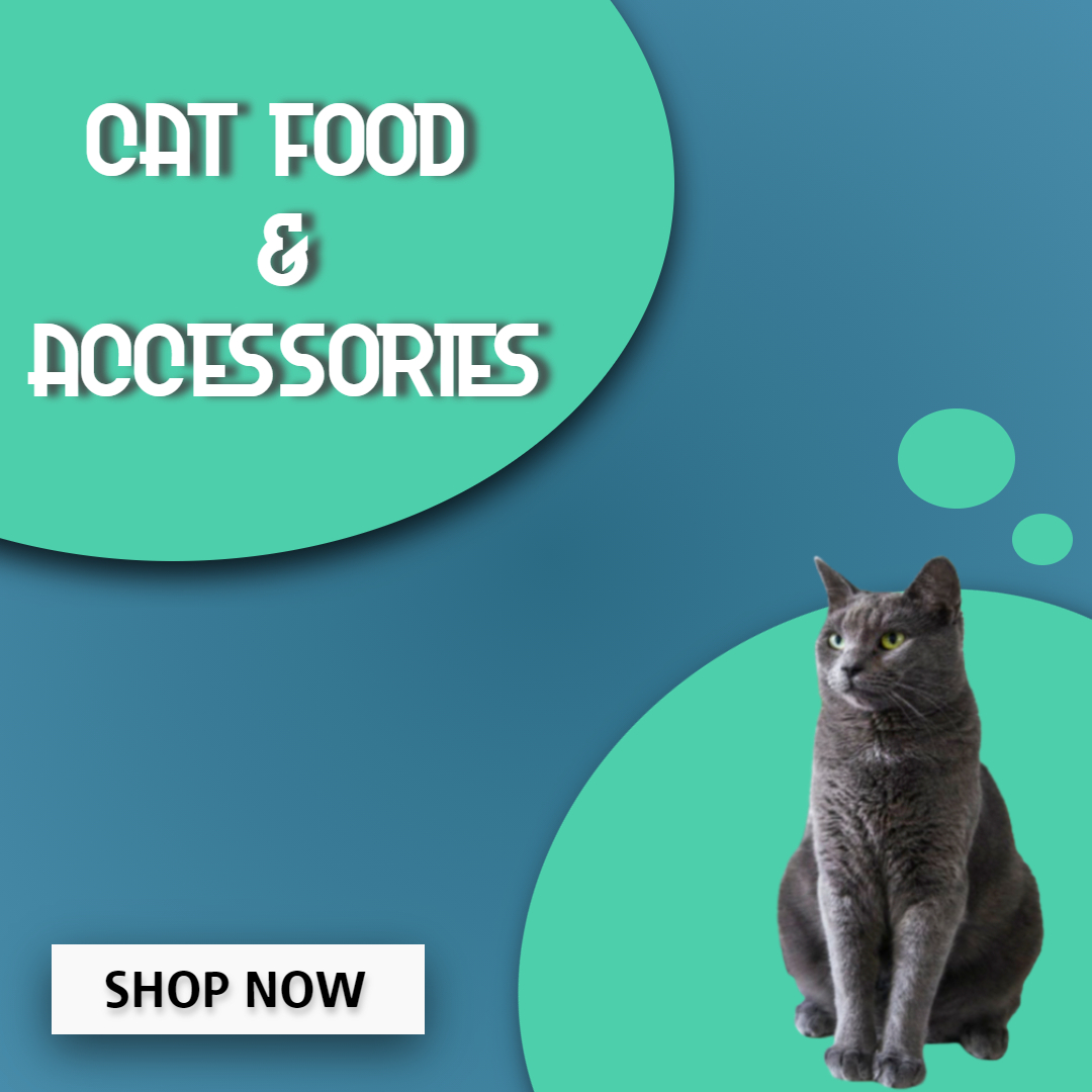 PETS TOWN Town for Breeds, Pet Adoption and Premium Pet Products