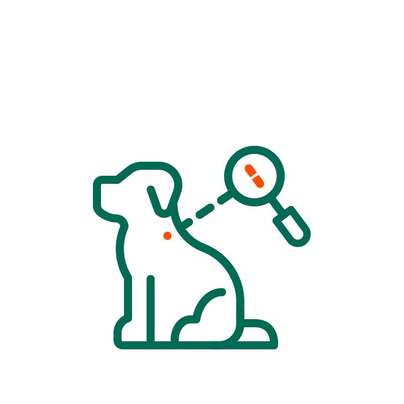 PETstrack Buy Pet Microchip, Register Dogs and Cats Microchip