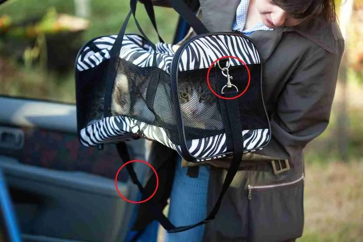 How To Secure A Cat Carrier In Car? 5 Easy Steps Pets Travelog