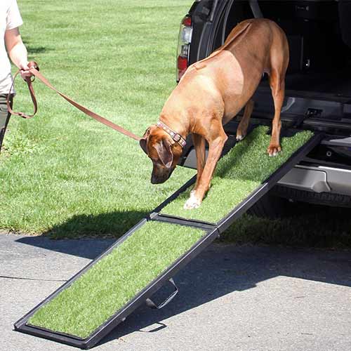 Top 30 Best Dog Ramps For SUVs Reviewed in 2024 PetStruggles