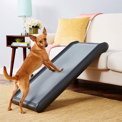 Top 30 Best Dog Ramps For SUVs Reviewed in 2024 PetStruggles