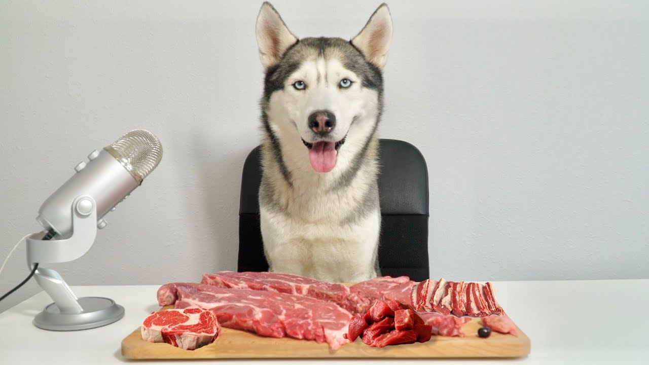 Can Dogs Eat Steak?