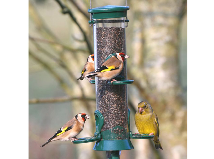 Best Nyjer Seed Feeder