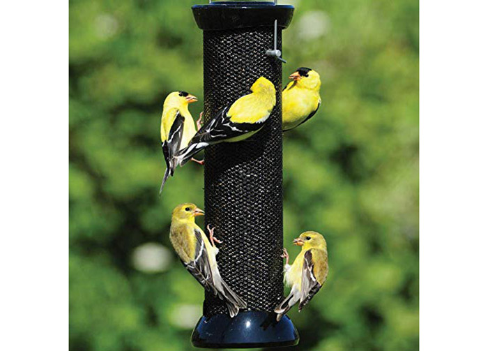 Best Nyjer Seed Feeder