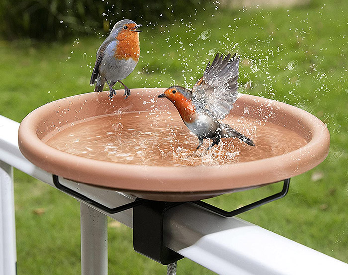 Do Birds Like Bird Bath Fountain?