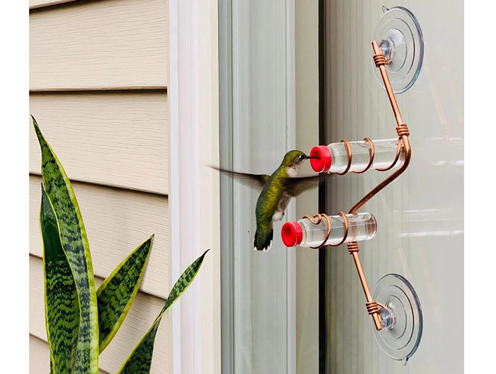 Best Window Hummingbird Feeder