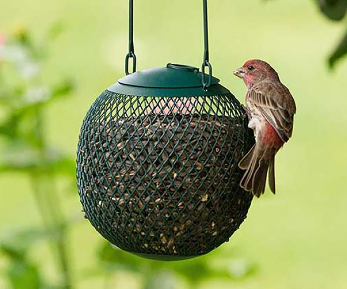 Bird Feeder Mesh Netting