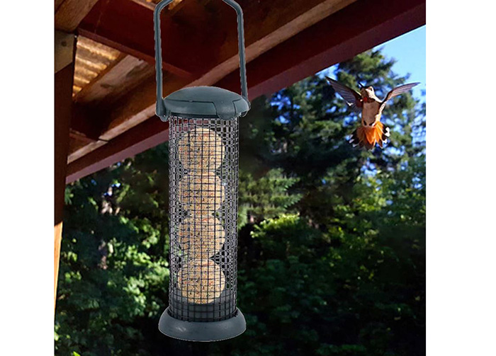 How To Hang Bird Feeders Without Trees