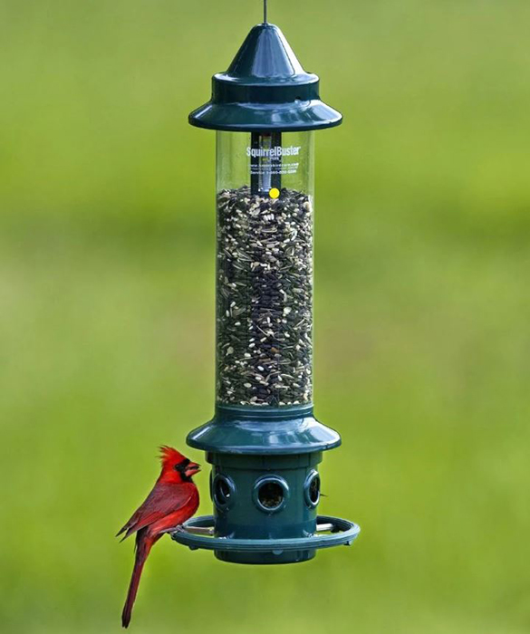 How To Open Squirrel Buster Classic Bird Feeder