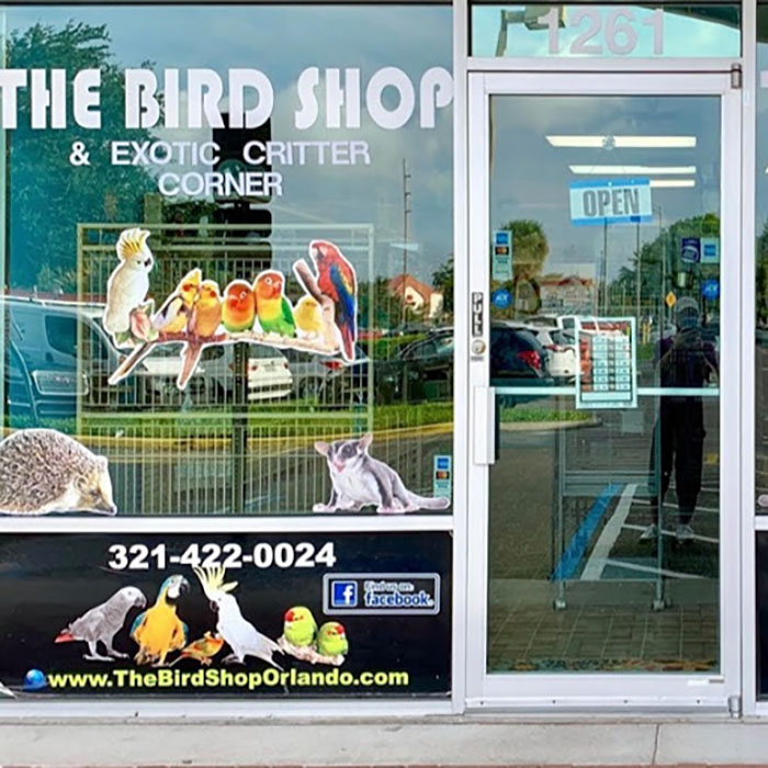 Exotic Birds For Sale In Florida