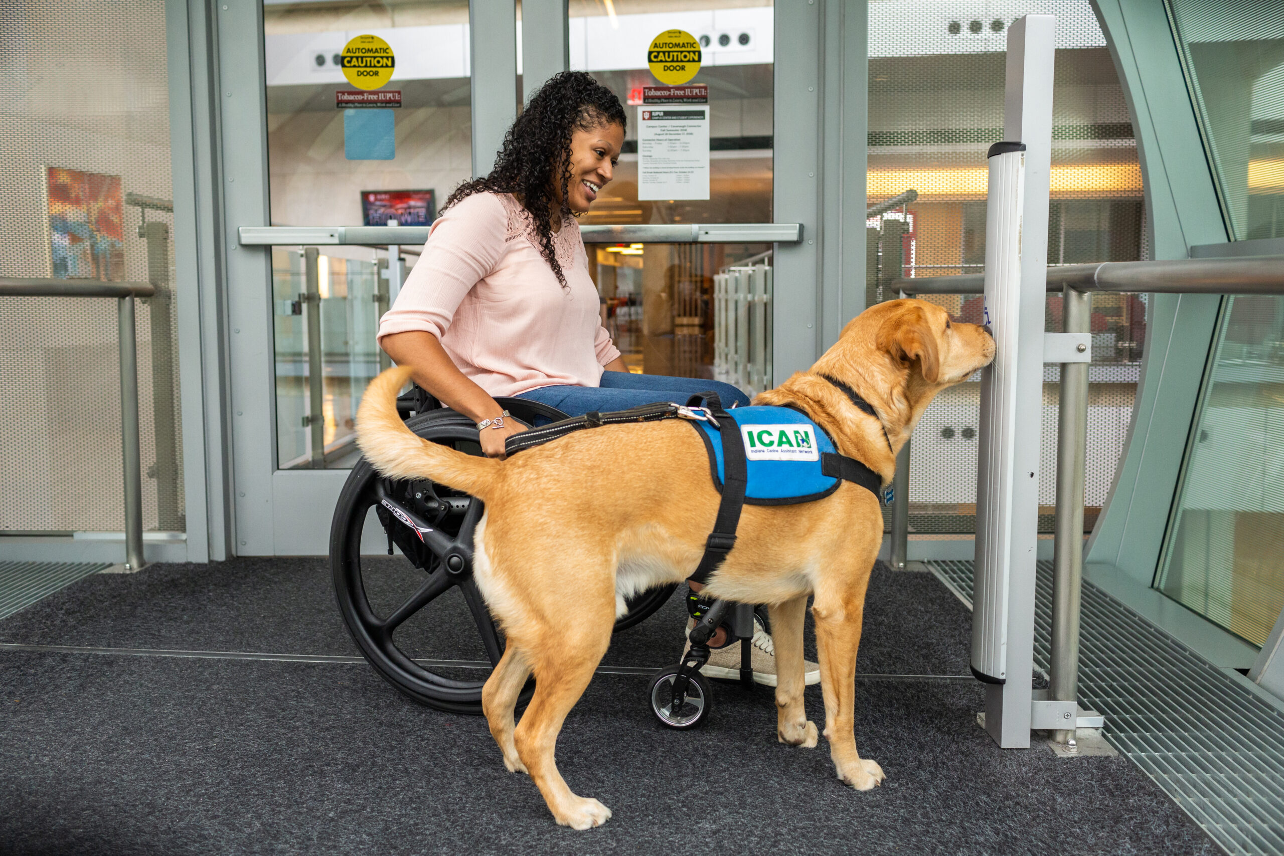 9 Types Of Service Dogs Pets Tutorial