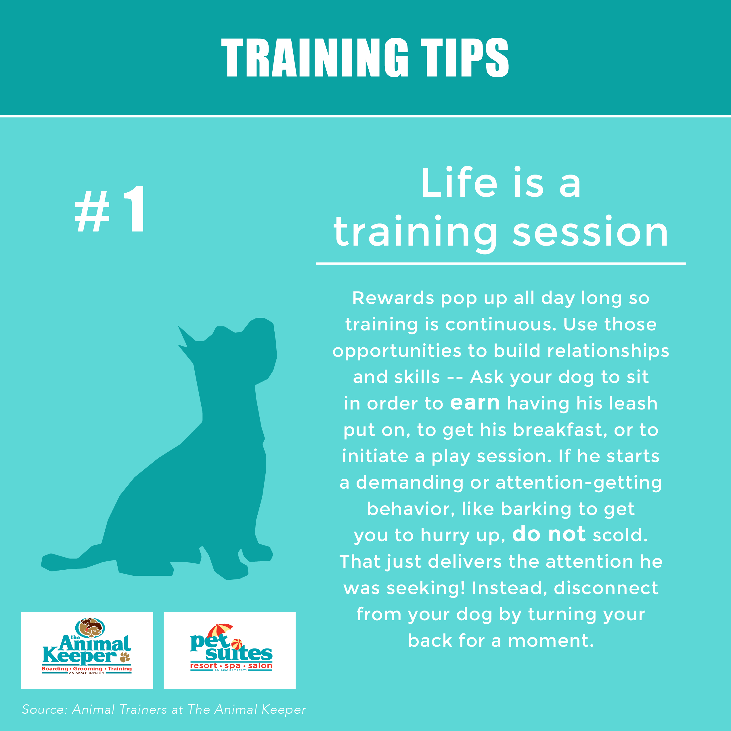 Training Tip 1 Life is a Training Session Pet Suites