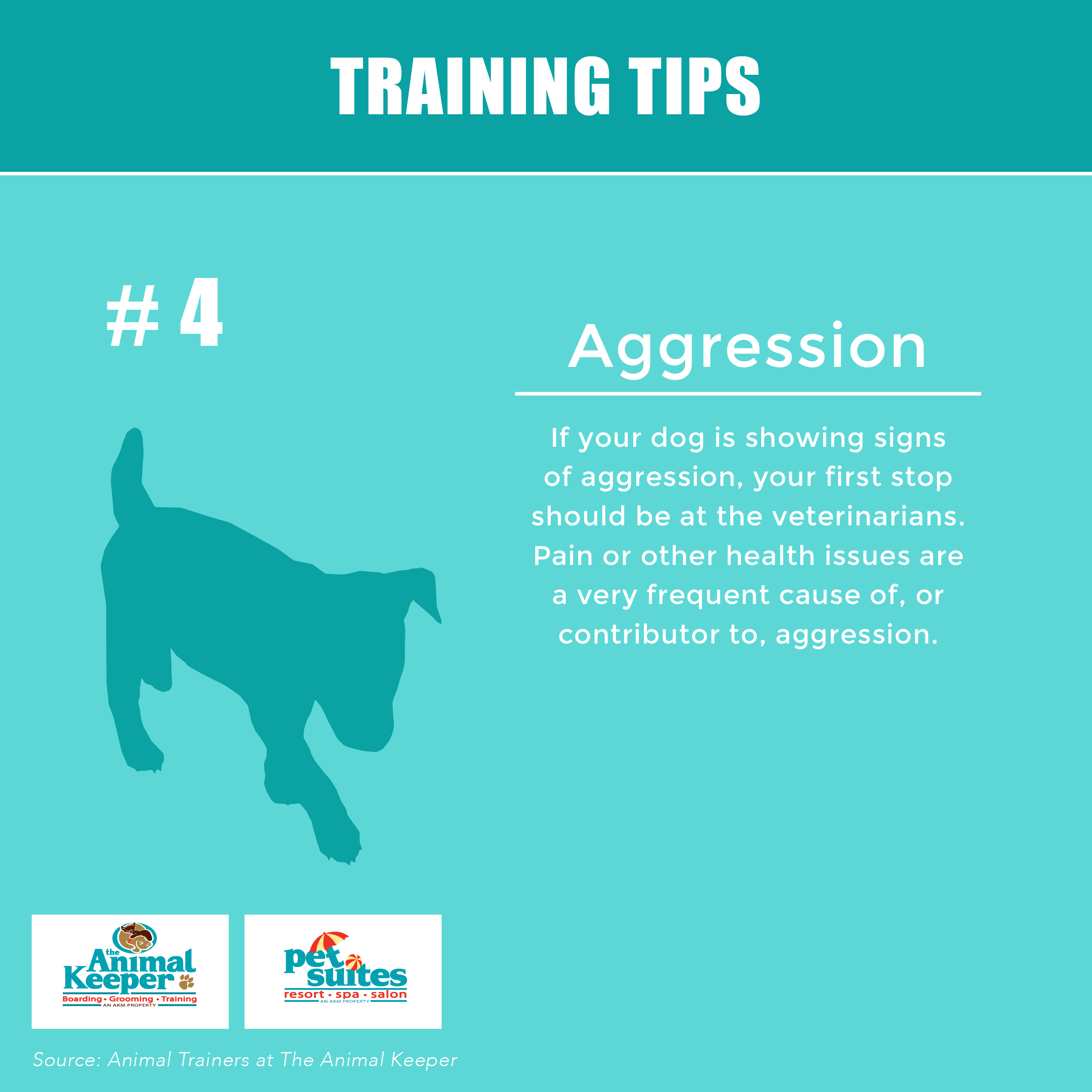 Training Tip 4 Aggression Pet Suites