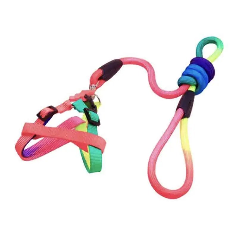 Petfond Rainbow dog harness leash set Best 1 Wholesale Pet