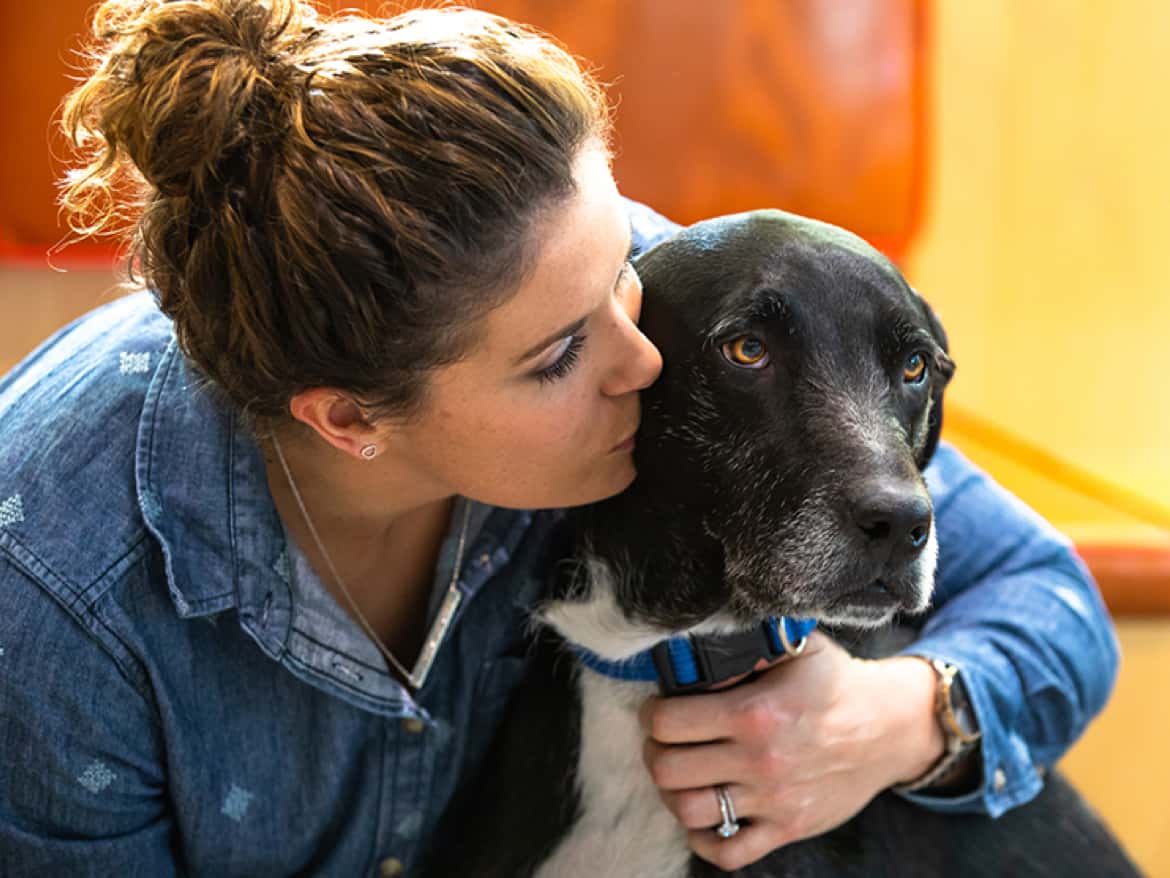 Pet parent hub PetSure