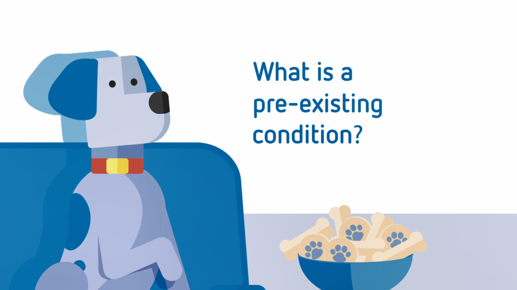 Pet Insurance PetSure