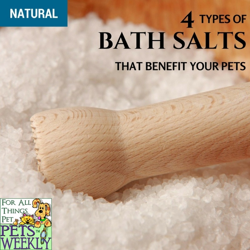 4 Bath Salts That May Benefit Your Pets