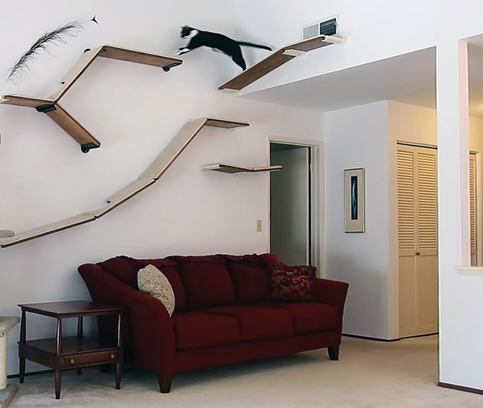 CatScapes Shelves Changes How Your Cats Play