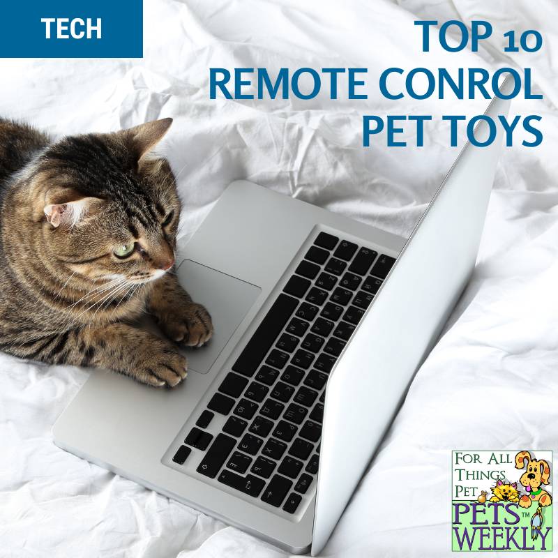 Top 10 Remote Control Pet Toys for Interactive Play