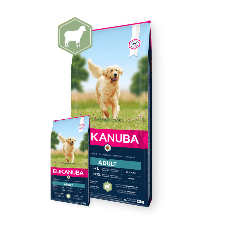 Eukanuba Adult Lamb & Rice Large Breed Pets with benefit
