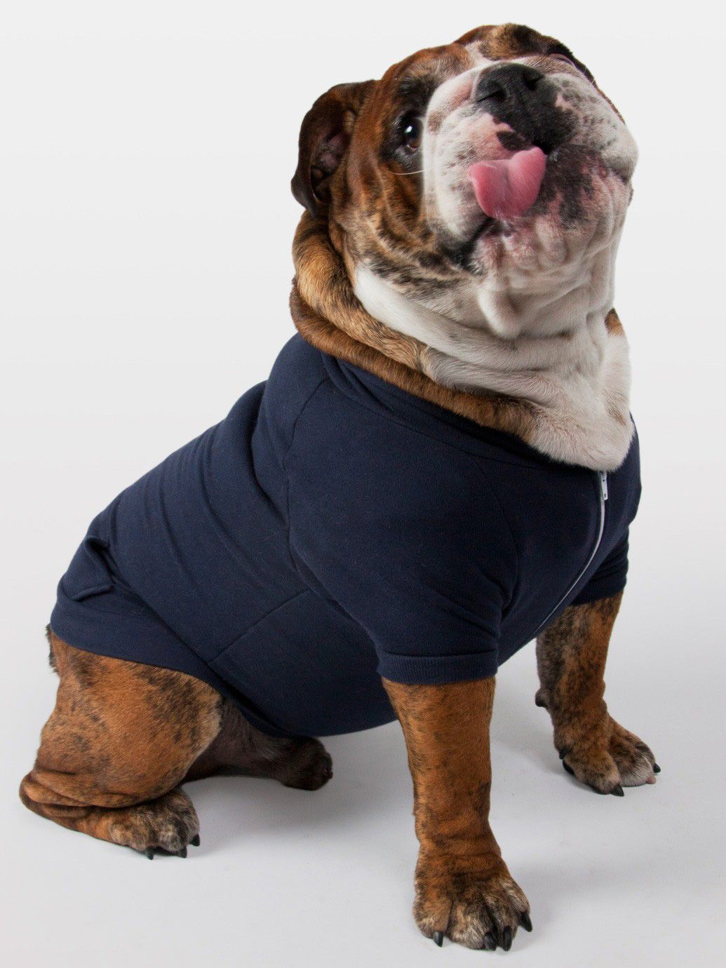 Embroidered Dog sweatshirt hoodie zippered made in the usa