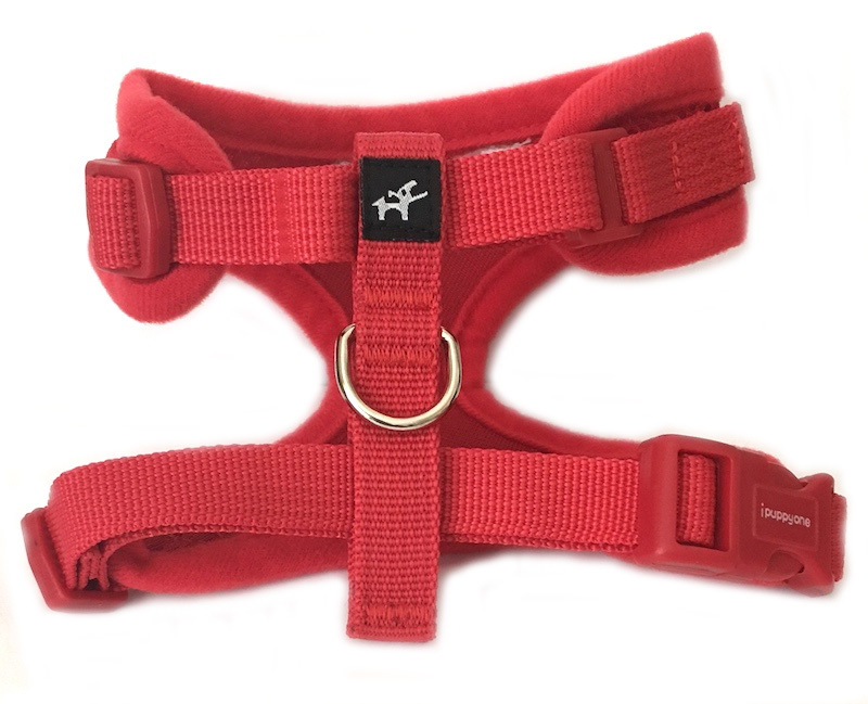 Personalized dog harness adjustable neck