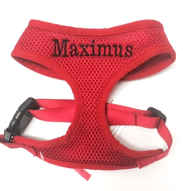 Custom Personalized Embroidered Dog Harness, Embroidered pet