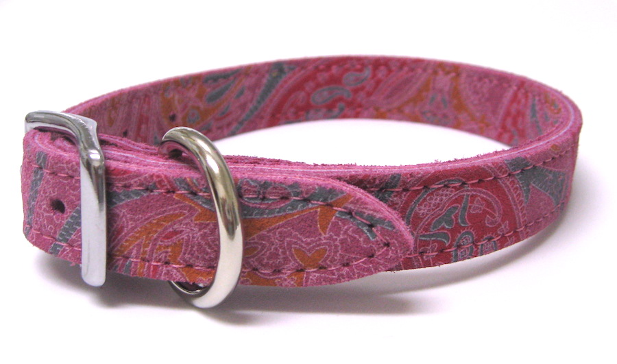 Dog Collars and leashes
