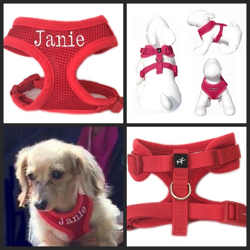 Personalized dog harness adjustable neck