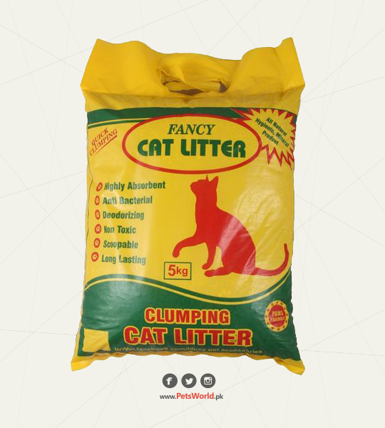 Fancy Cat Litter Petsworld.pk Pet Clinic