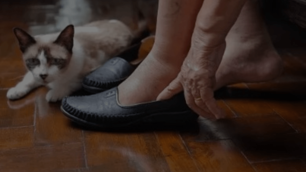 Why Does My Cat Sit on My Feet? Discover Feline Behavior
