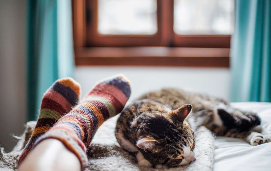 Why Does My Cat Sit on My Feet? Discover Feline Behavior