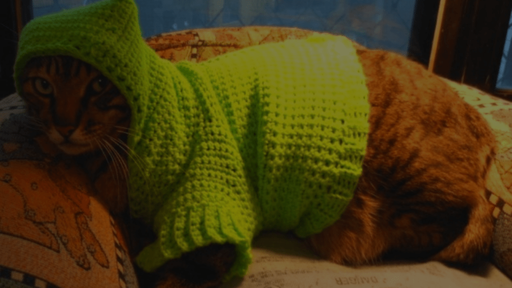 How to Crochet a Cat Sweater StepbyStep Guide Petsy Box