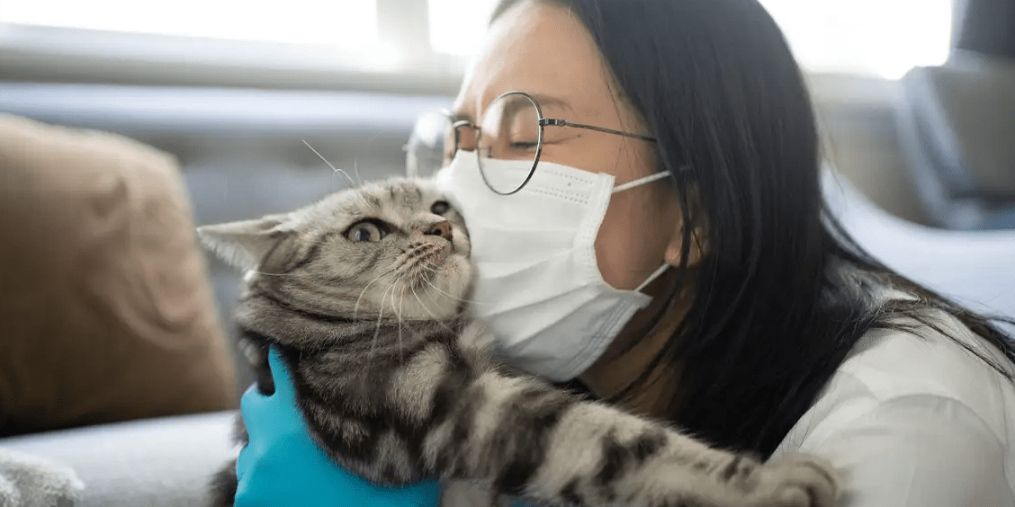 Why Does My Cat Cough After Drinking Water? Petsy Box