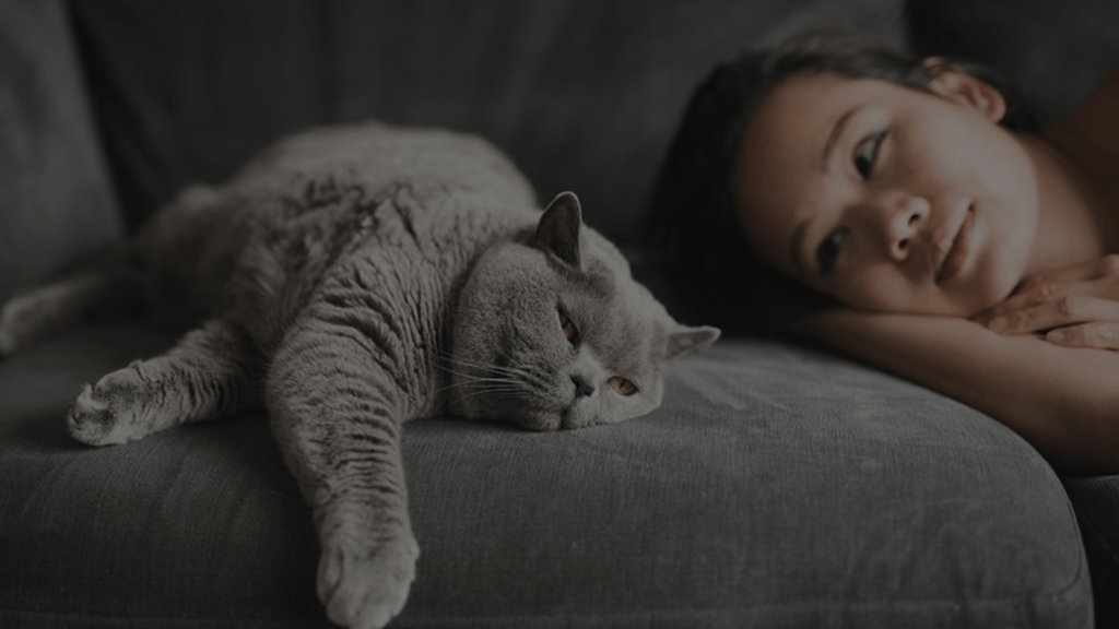 Why Did My Cat Stop Sleeping with Me? Cat Behavior