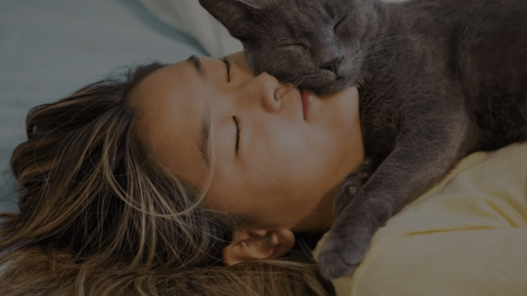 Why Does My Cat Tap Me When I'm Sleeping? Petsy Box