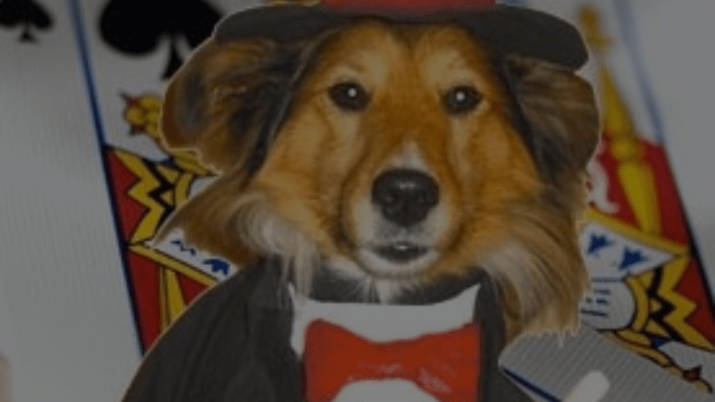What Do You Call a Dog That Can Do Magic? Informative Guide