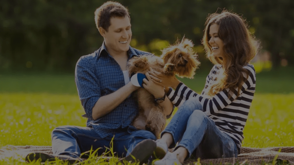 Why Does My Dog Bark When I Hug Someone? Petsy Box