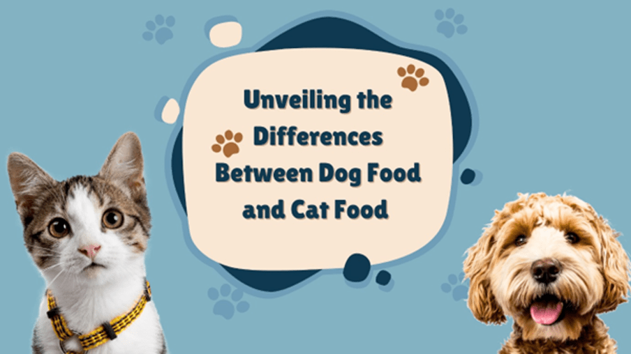 Unveiling the Differences Between Dog Food and Cat Food Petsyfy
