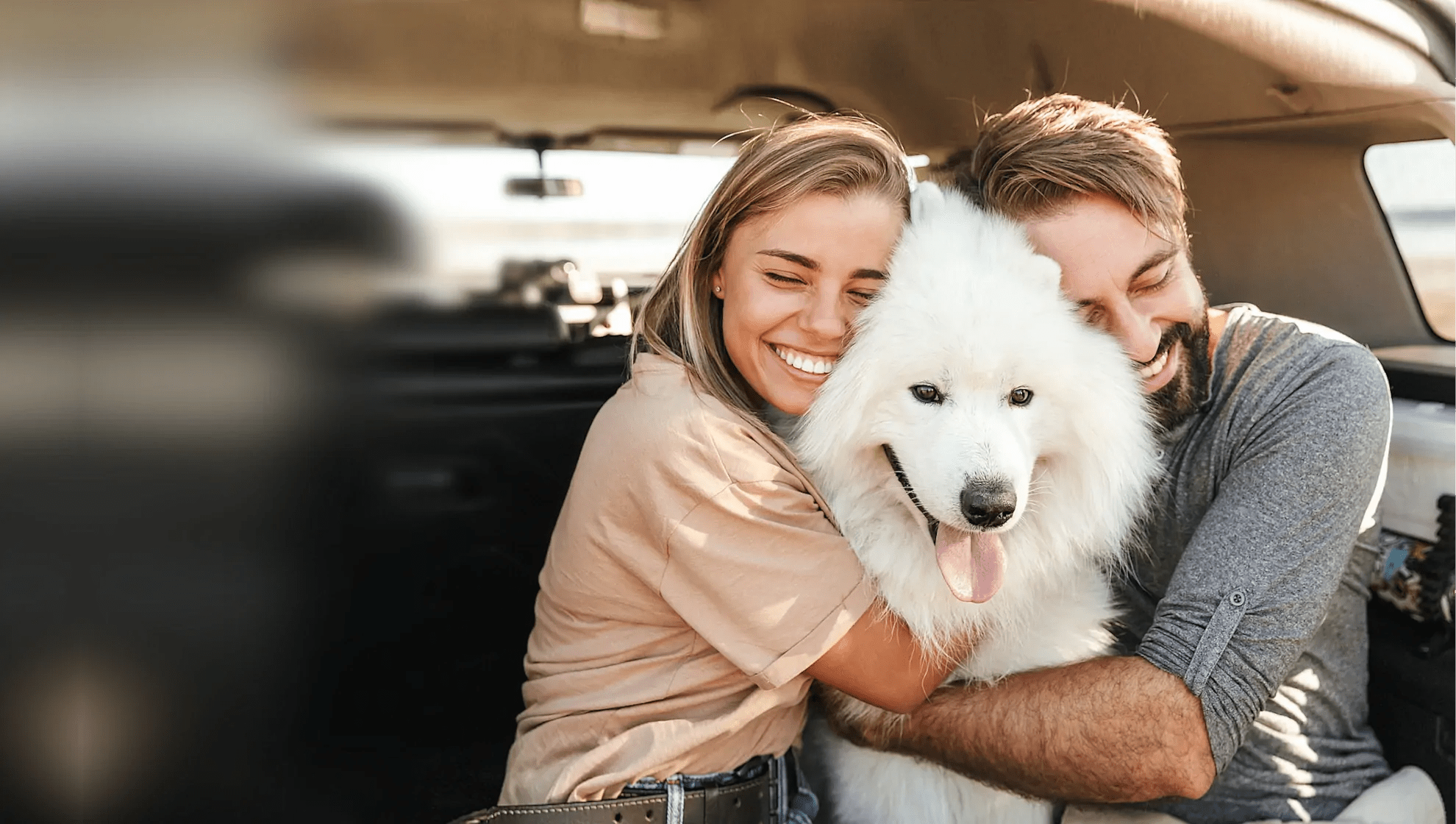 PET TAXI to UK EUROTUNNEL PET TRAVEL to UK TAXI Travel with your