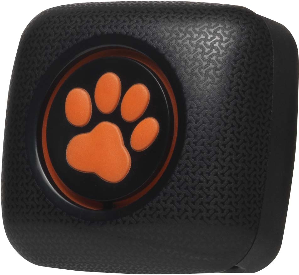 PitPat 2 Dog Activity Monitor Fitness Tracker PetTech.co.uk